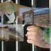 بیش از ۵۰زن زندانی در زندان سپیدار اهواز به کرونا مبتلا می شوند