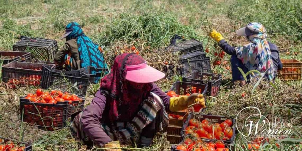شرایط وخیم زنان کارگر در ایران - روز جهانی کارگر
