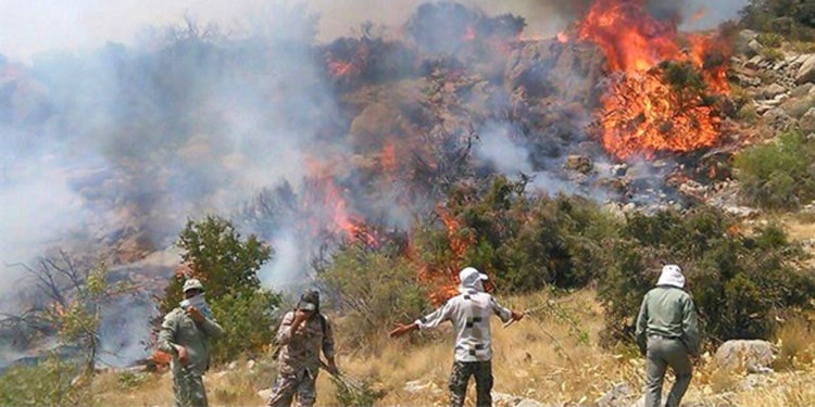 « Au cours des deux dernières années, des parties du Zagros ont été frappées par des incendies successifs
