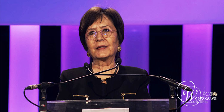 Yakın Ertürk, Rapporteuse spéciale des Nations unies sur la violence à l'égard des femmes (2003-2006)