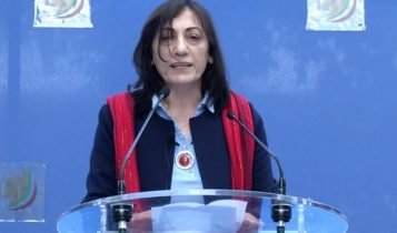 Zinat Mir Hashemi in Brussels rally