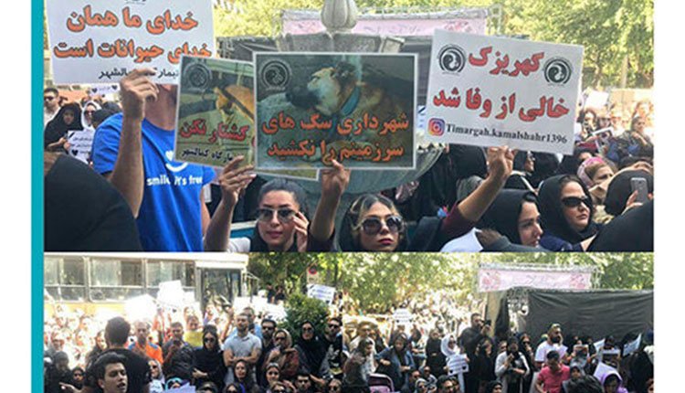 Protests-by-different-strata-in-various-cities-across-Iran-2