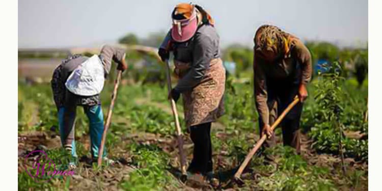 Female farmers in Iran deprived of skills training